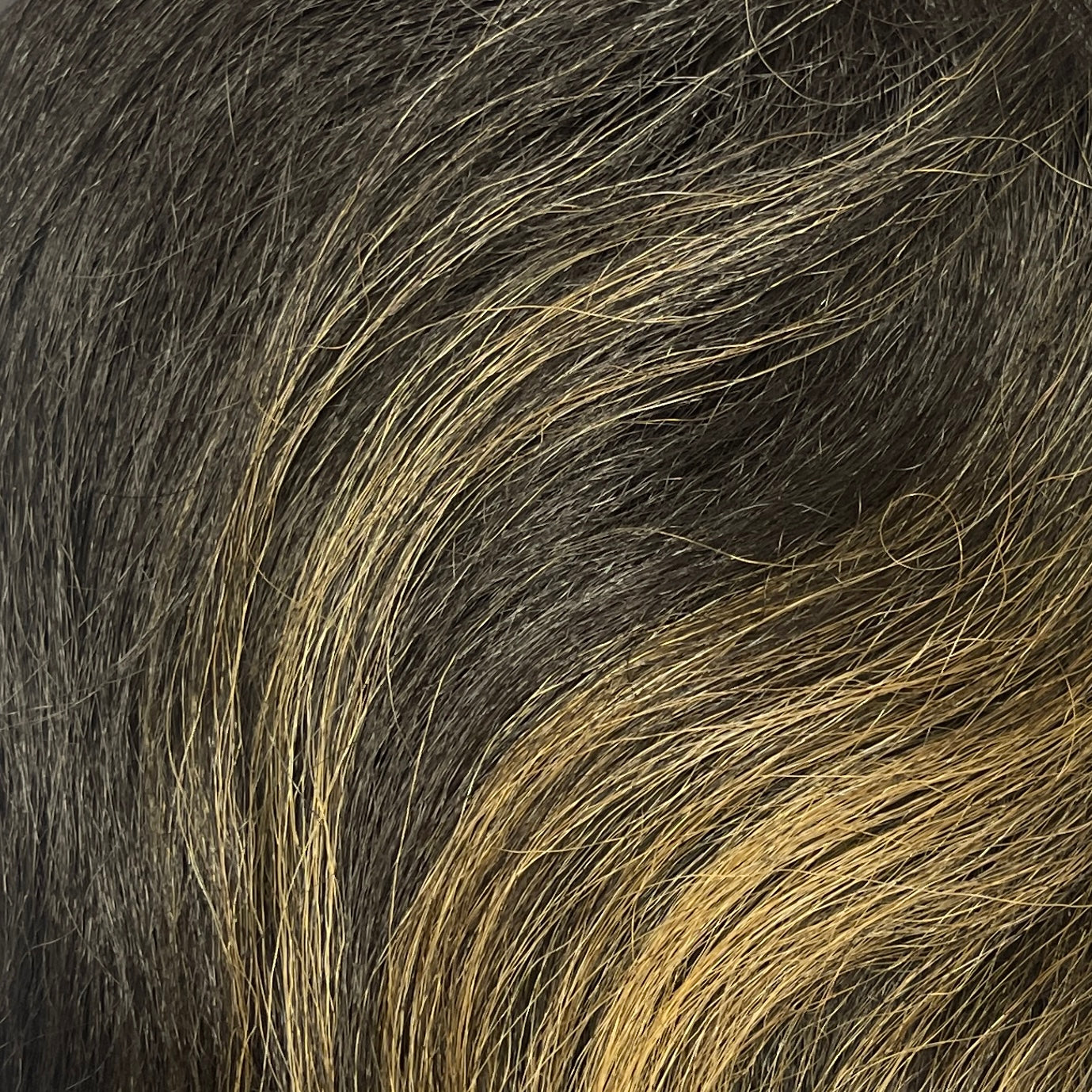 NATUR L LACE WIG MELTY 103