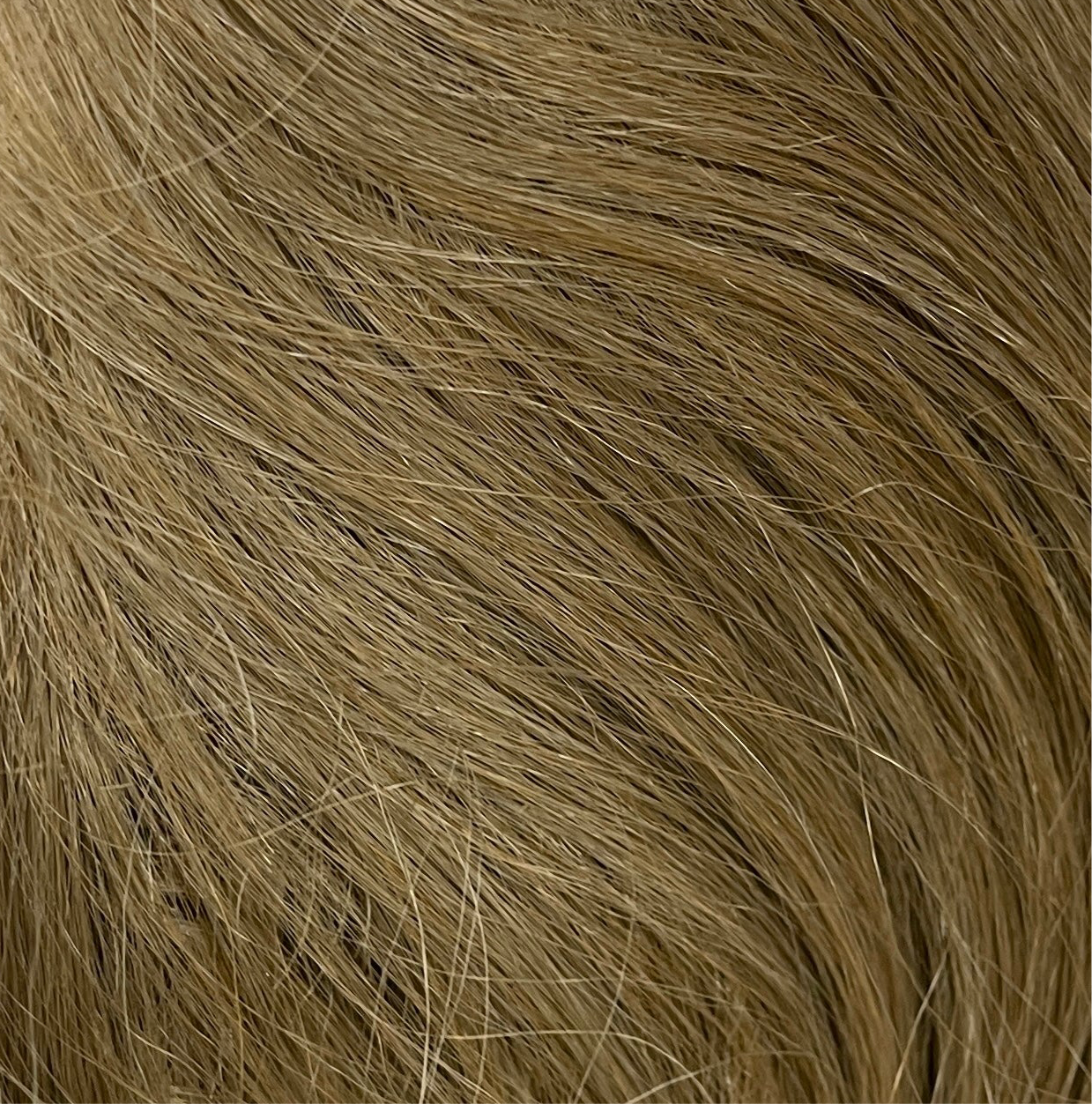 NATUR L LACE WIG TYLA 102