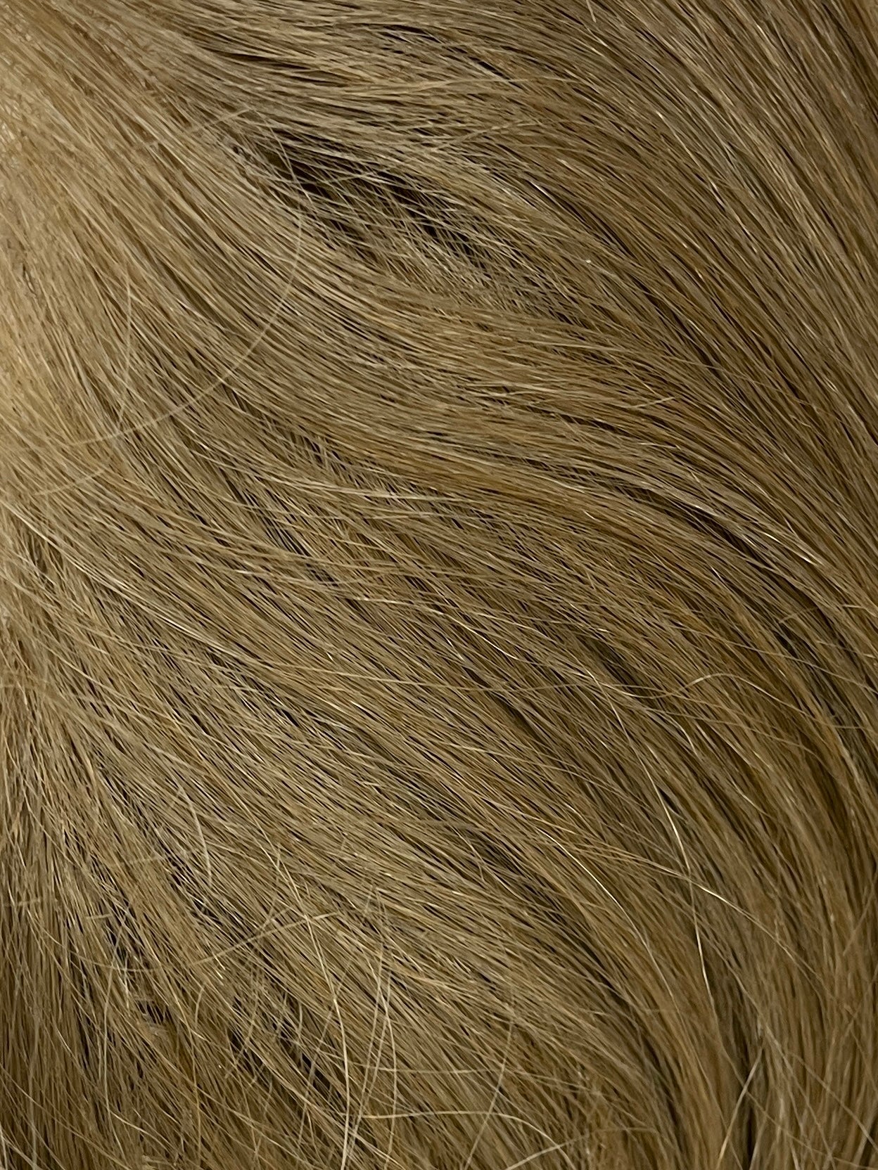 SENSATIONNEL BARE LACE WIG - UNIT 8