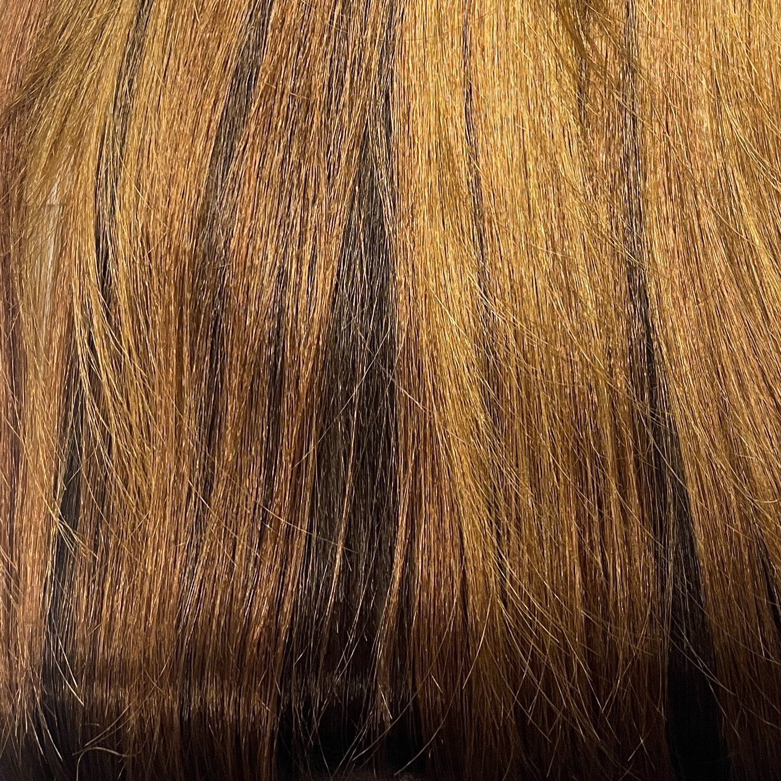 CHERISH DRAWSTRING PONYTAIL CANADA GIRL